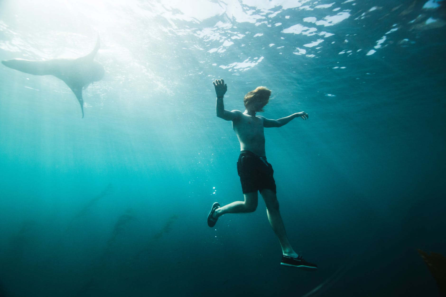 photo of a man underwater