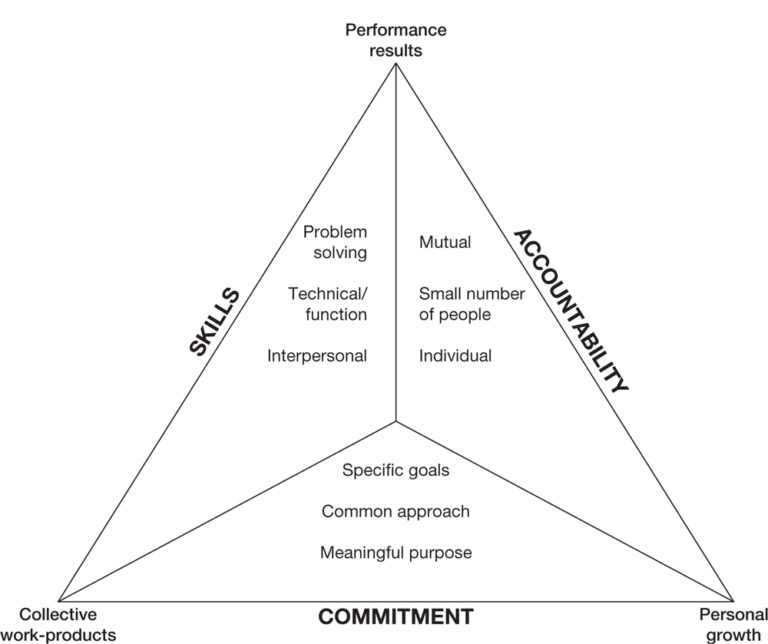 The Wisdom of Teams by Jon and Douglas