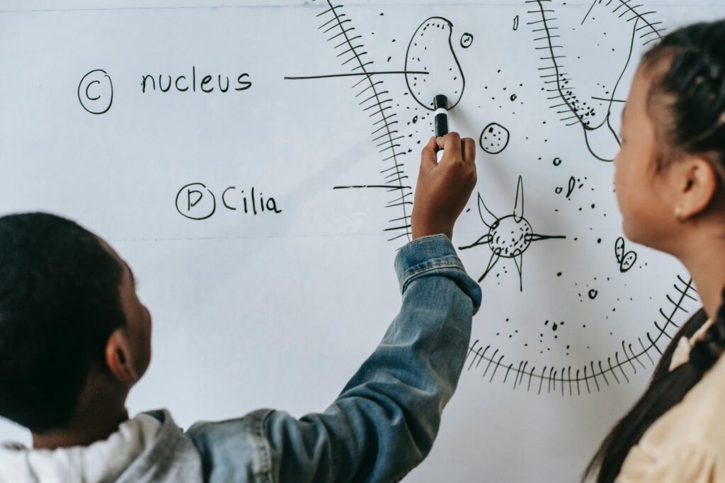 diverse children learning biology on whiteboard