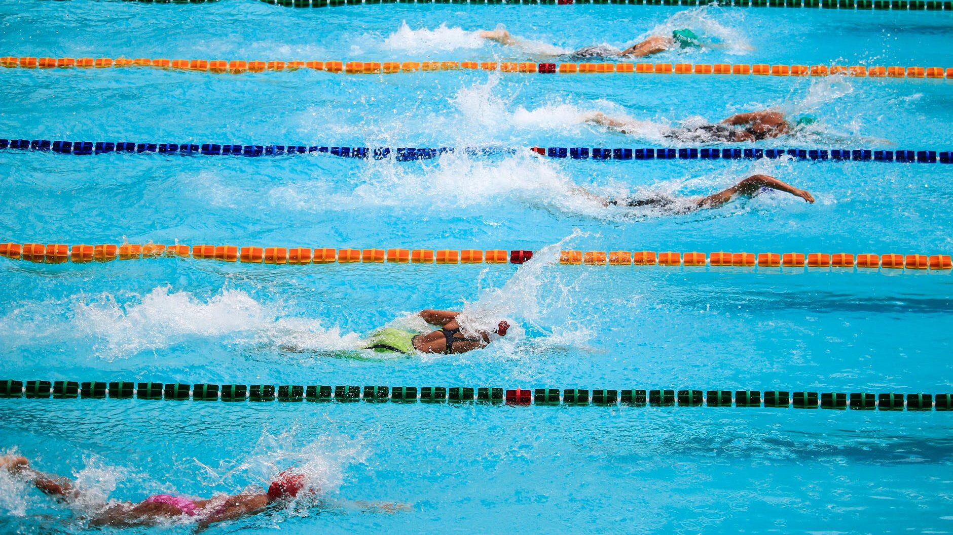 people doing swim race