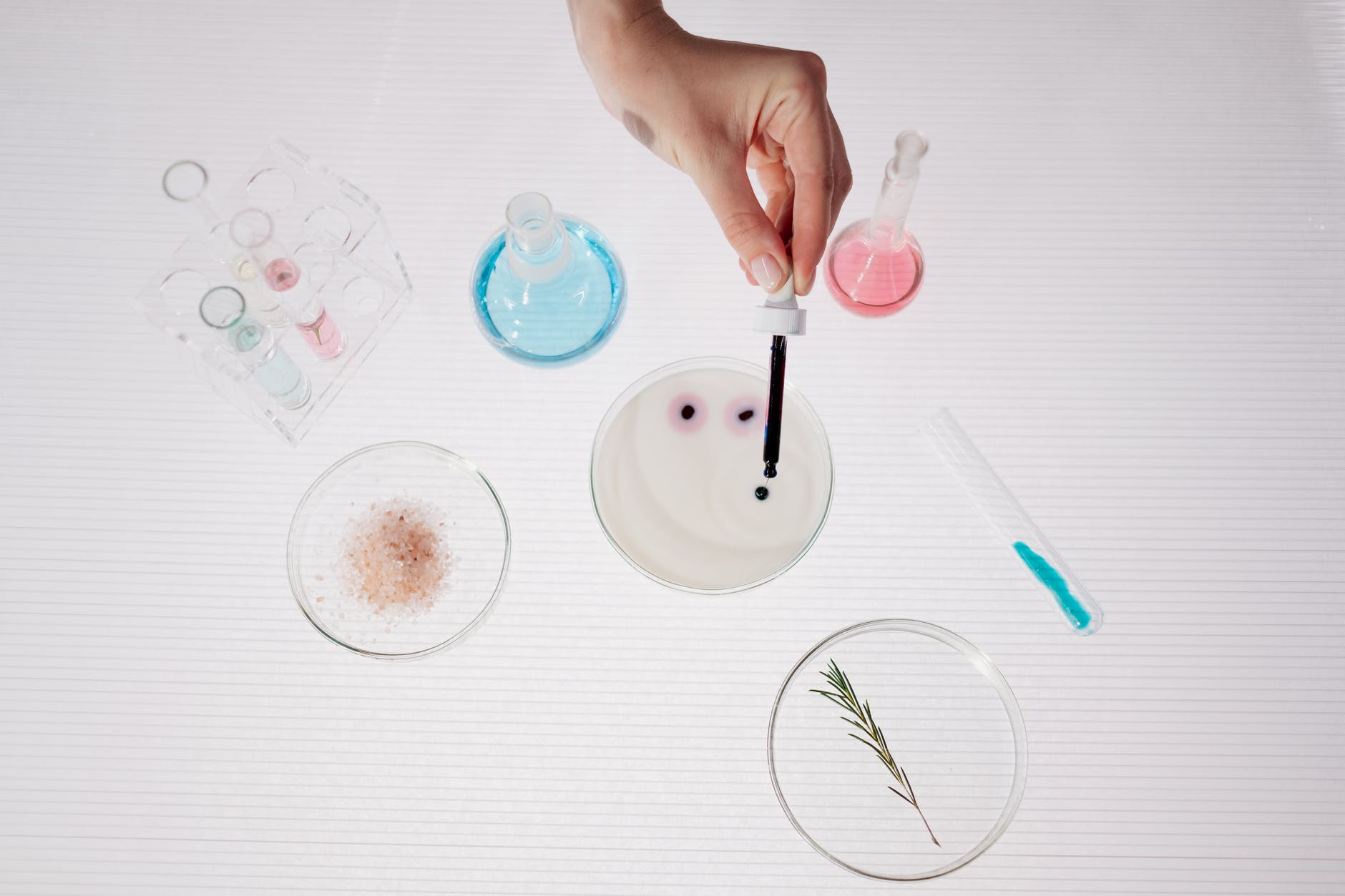 an above shot of a hand pouring a liquid into a petri dishes